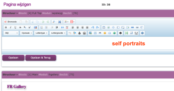 Pagina meerdere secties