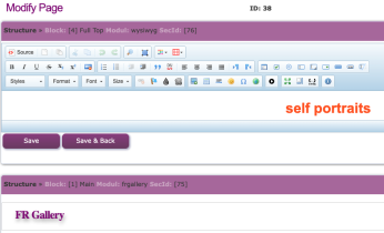 Page multiple sections